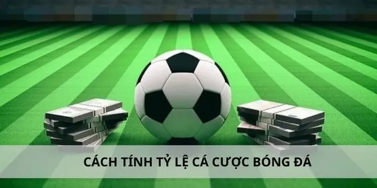 Tỷ Lệ Nhà Cái Chuẩn - Tỷ Lệ Kèo Bóng Đá Nhanh Nhất Hôm Nay