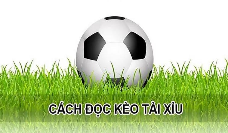 Cách Soi Kèo Tài Xỉu Bóng Đá Hiệu Quả Nhất Cho Anh Em