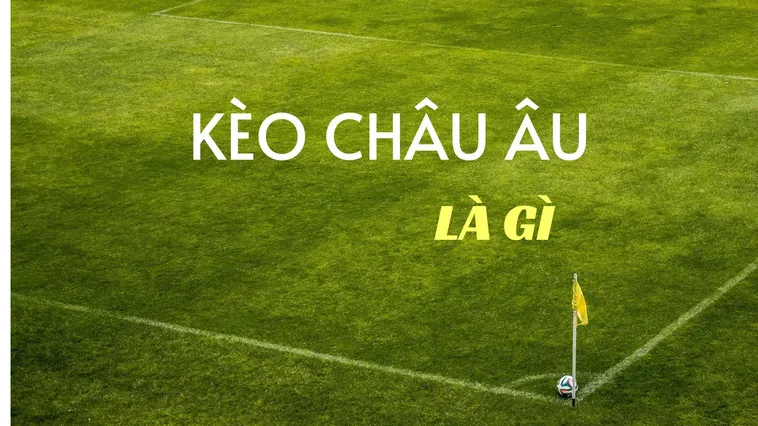 Những Bí Quyết Soi Kèo Châu Âu Hiệu Quả Cho Người Mới Bắt Đầu