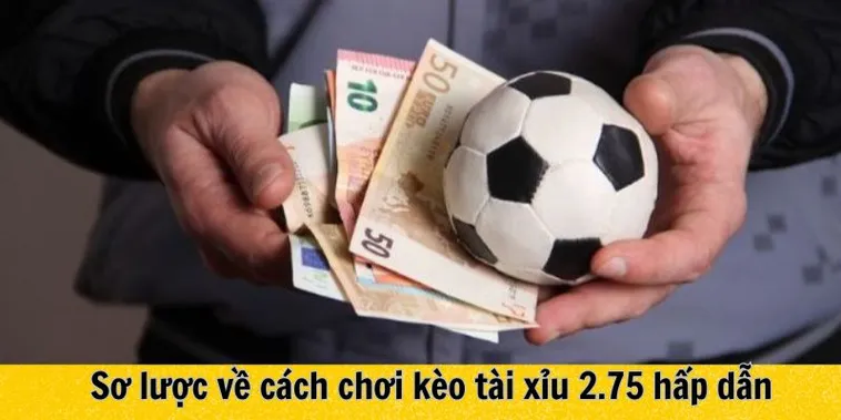 Kinh Nghiệm Đánh Kèo 2.75 Chắc Thắng Từ Các Cao Thủ Lão Luyện
