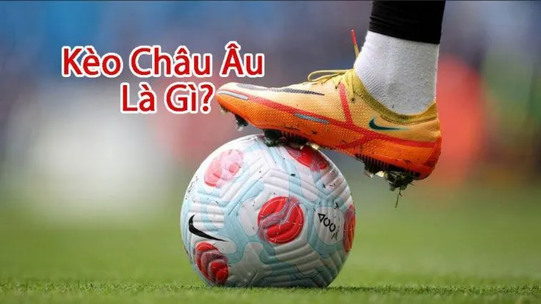 Những Bí Quyết Soi Kèo Châu Âu Hiệu Quả Cho Người Mới Bắt Đầu