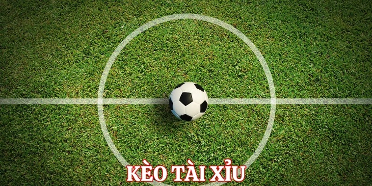 Bí Kíp Soi Kèo Tài Xỉu Bóng Đá Luôn Thắng Cho Người Mới
