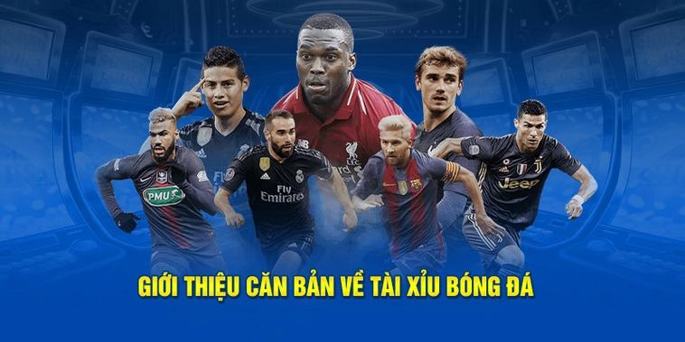 Bí Kíp Soi Kèo Tài Xỉu Bóng Đá Luôn Thắng Cho Người Mới